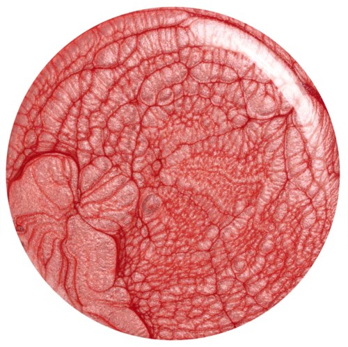 En närbild av ett rött, texturerat, cirkulärt föremål med intrikata linjer och mönster, troligen biologiskt eller konstnärligt.