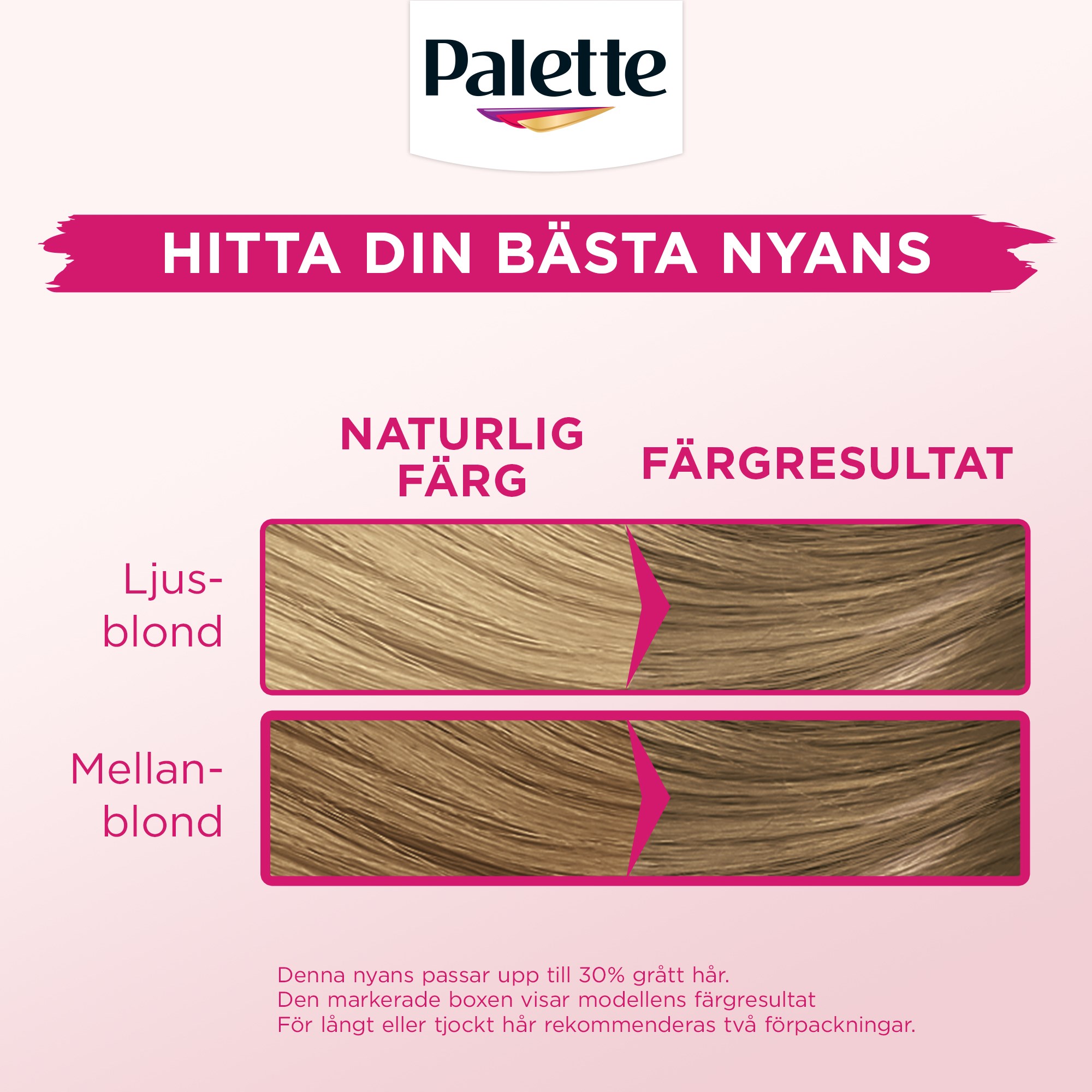 Schwarzkopf Palette Intensive Toning Color Crème 8-0 Medium Blonde (obrázok 5)
