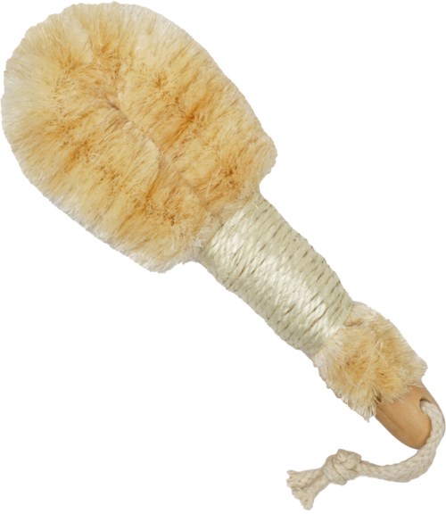 Palmetten Japansk Kroppsborste Sisal