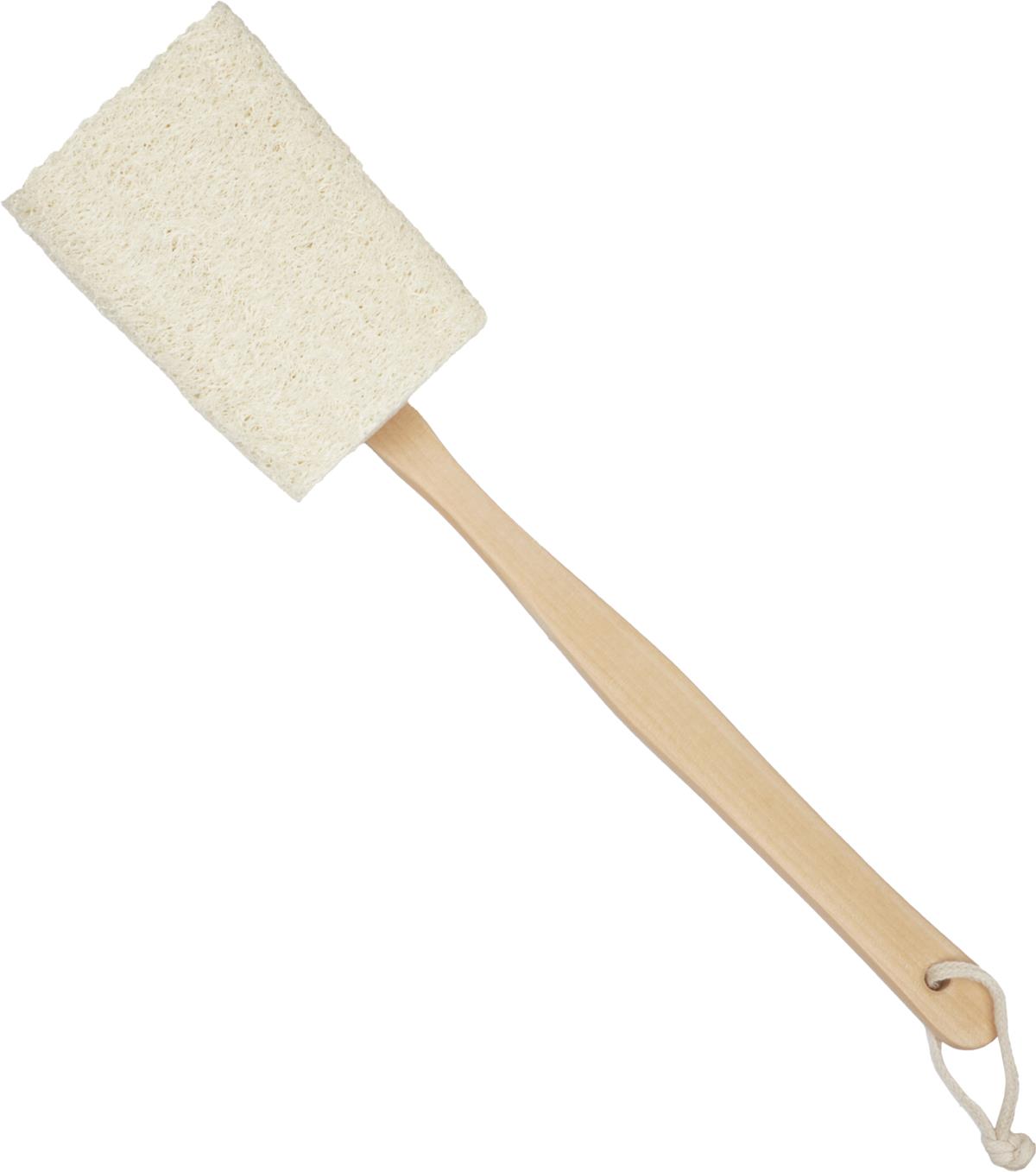 Palmetten Loofa Borste
