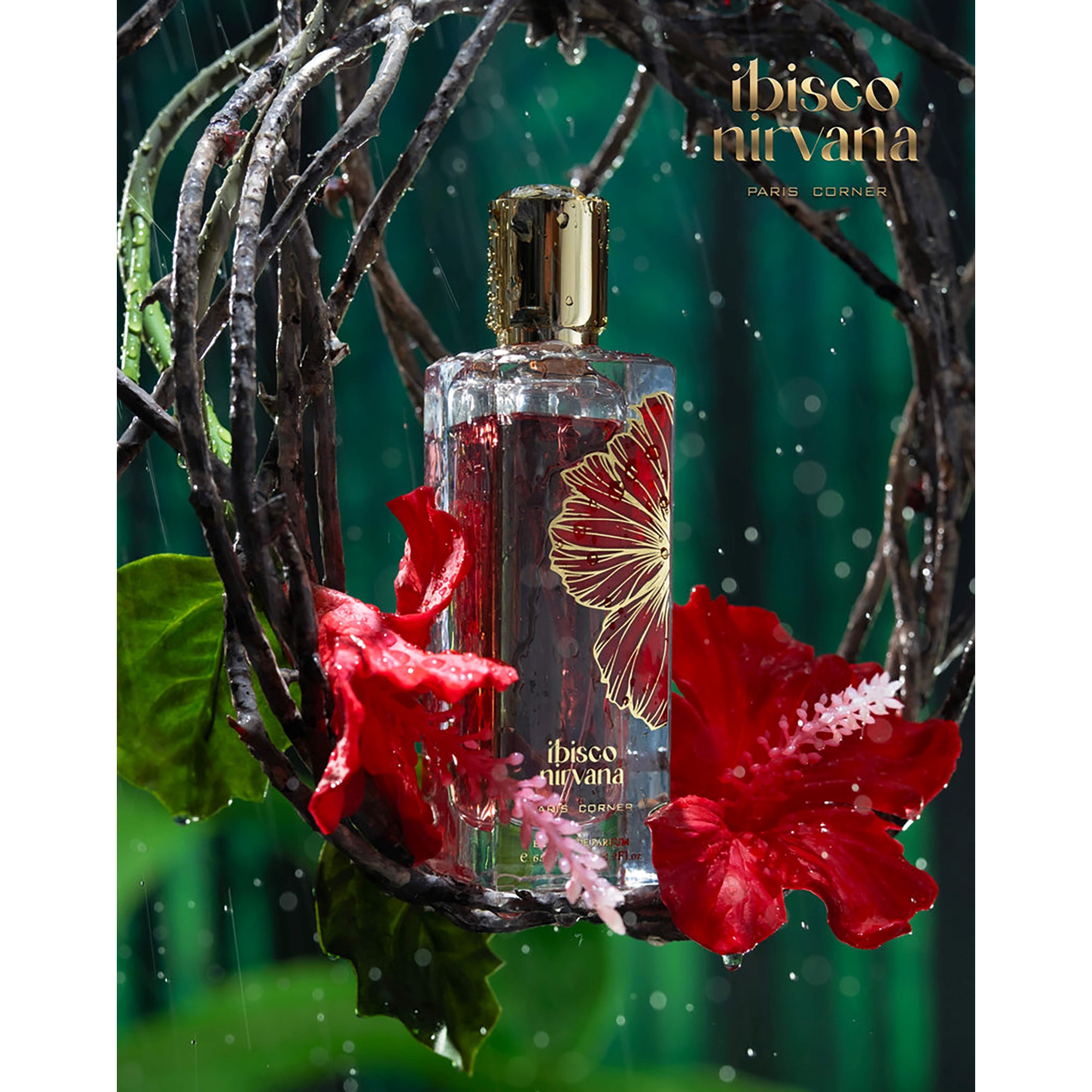 Paris Corner Ibisco Nirvana Eau de Parfum 65 ml (obrázok 3)