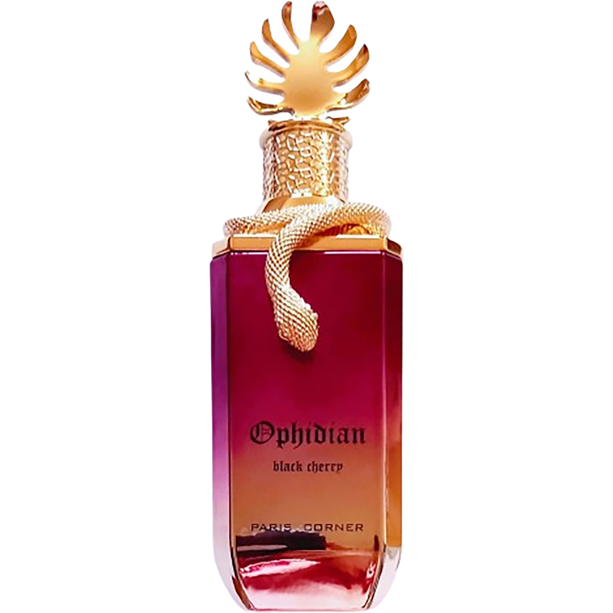 Paris Corner Ophidian Black Cherry Eau de Parfum 100 ml