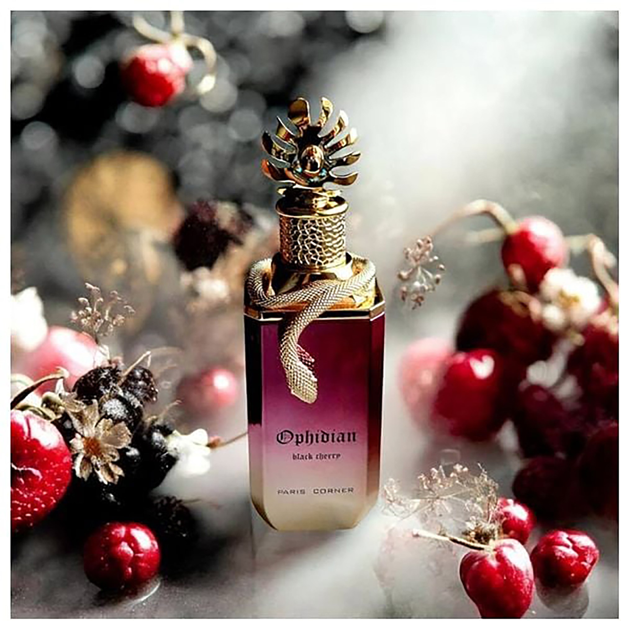 Paris Corner Ophidian Black Cherry Eau de Parfum 100 ml (obrázok 6)
