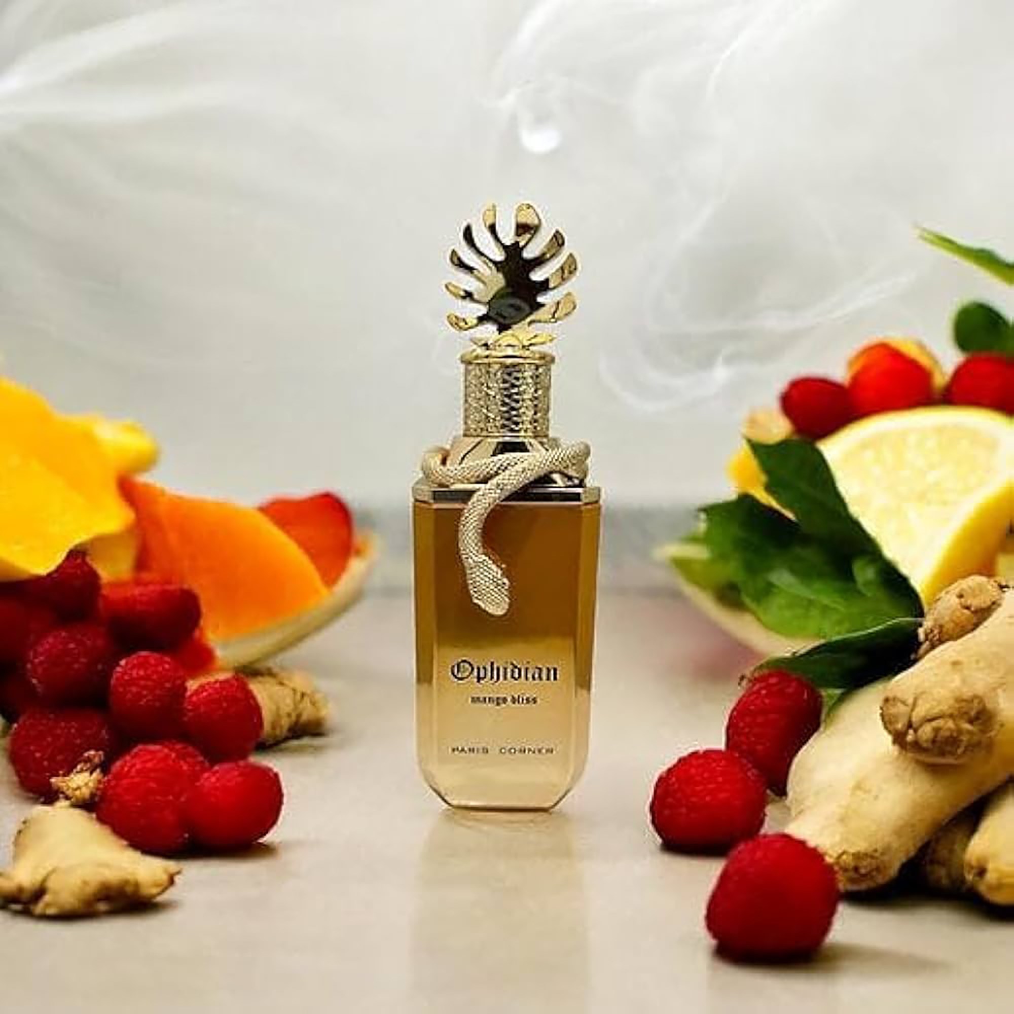 Paris Corner Ophidian Mango Bliss Eau de Parfum 100 ml (obrázok 4)