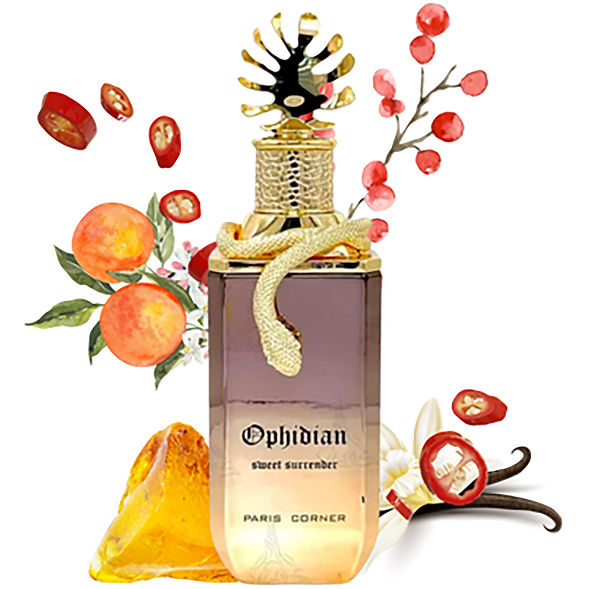 Paris Corner Ophidian Sweet Surrender Eau de Parfum 100 ml (obrázok 5)