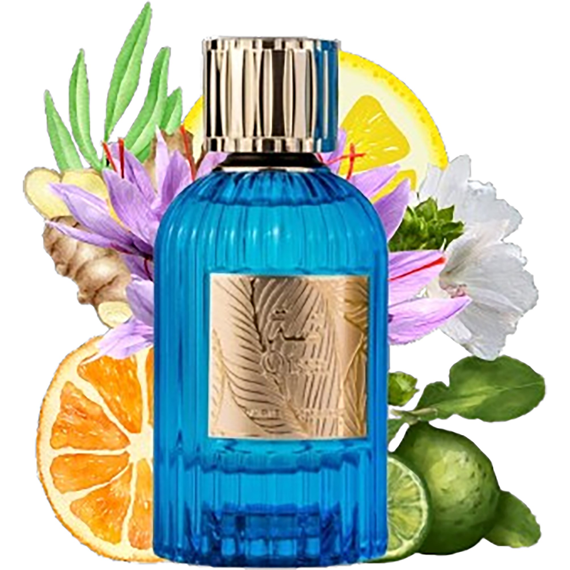 Paris Corner Qissa Blue Eau de Parfum 100 ml (obrázok 3)