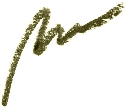 PIXI Endless Silky Eye Pen SageGold #Sagegold