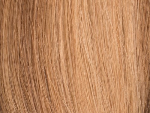 Poze Hairextensions Poze Hårträns Premium 10B/8B Brown Ashblonde Mix 50cm