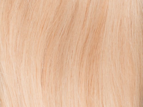 Poze Hairextensions Poze Tape On Premium 50cm 12NA Platinum