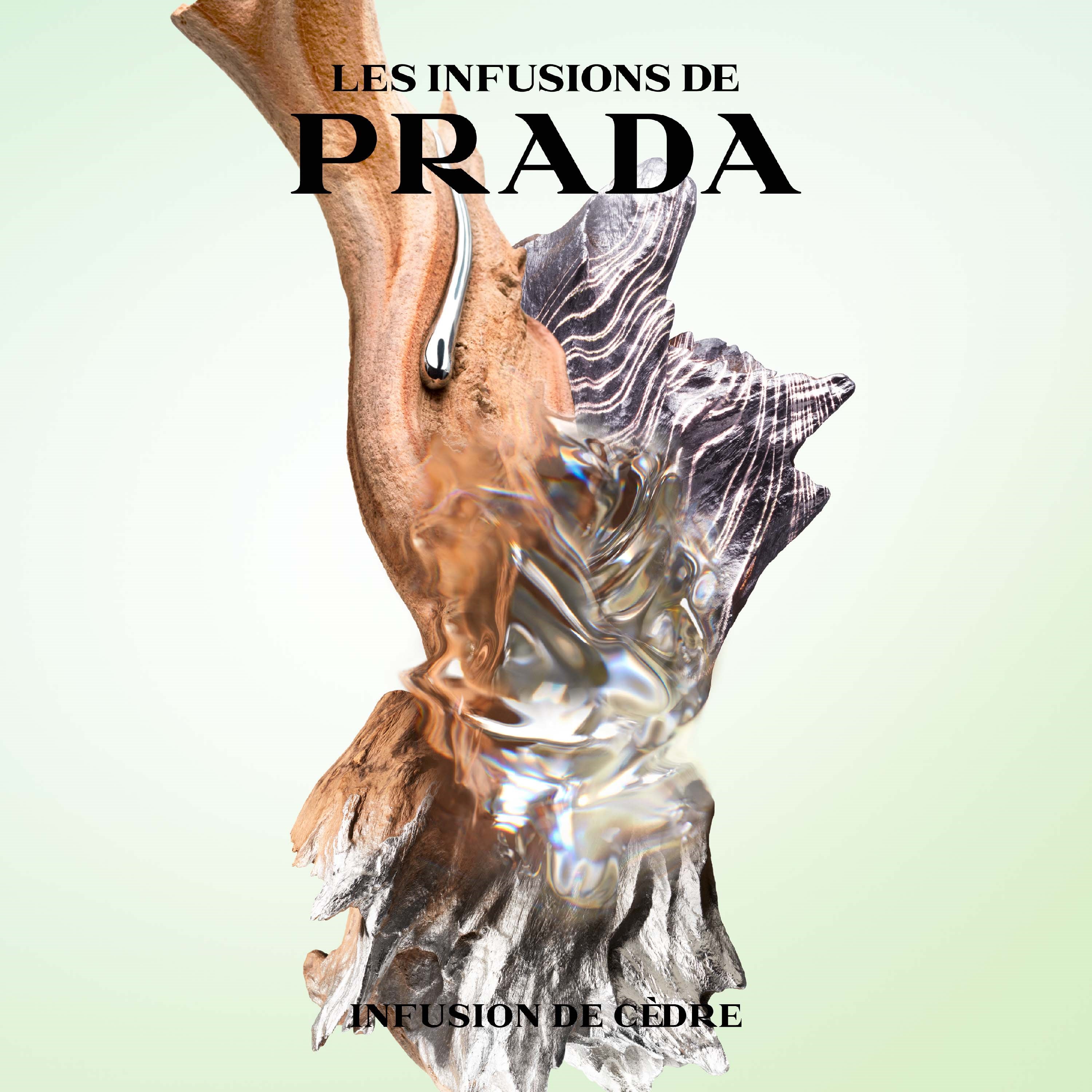 Prada Infusion de Cèdre Eau de Parfum 100 ml (obrázok 5)