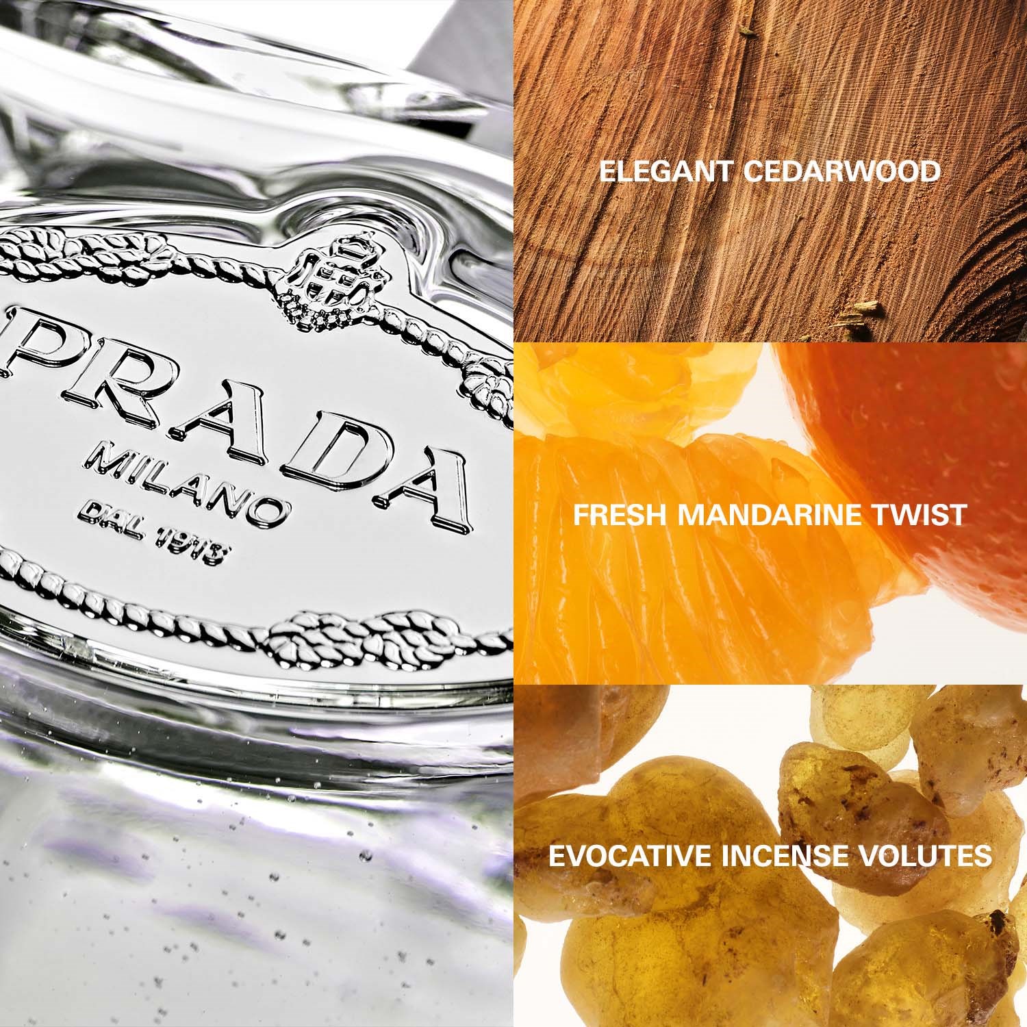 Prada Infusion de Cèdre Eau de Parfum 100 ml (obrázok 6)