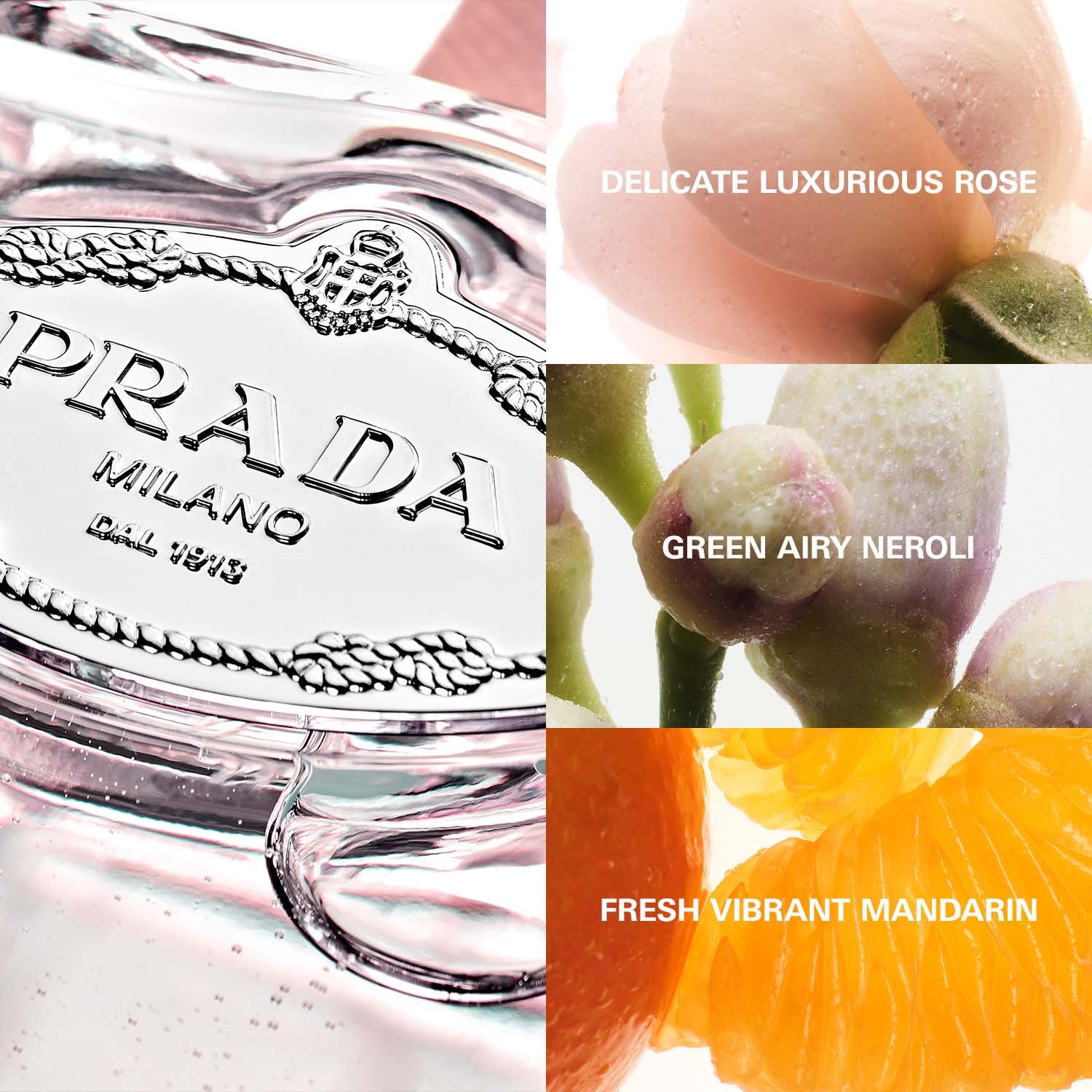 Prada Infusion de Rose Eau de Parfum 100 ml (obrázok 5)