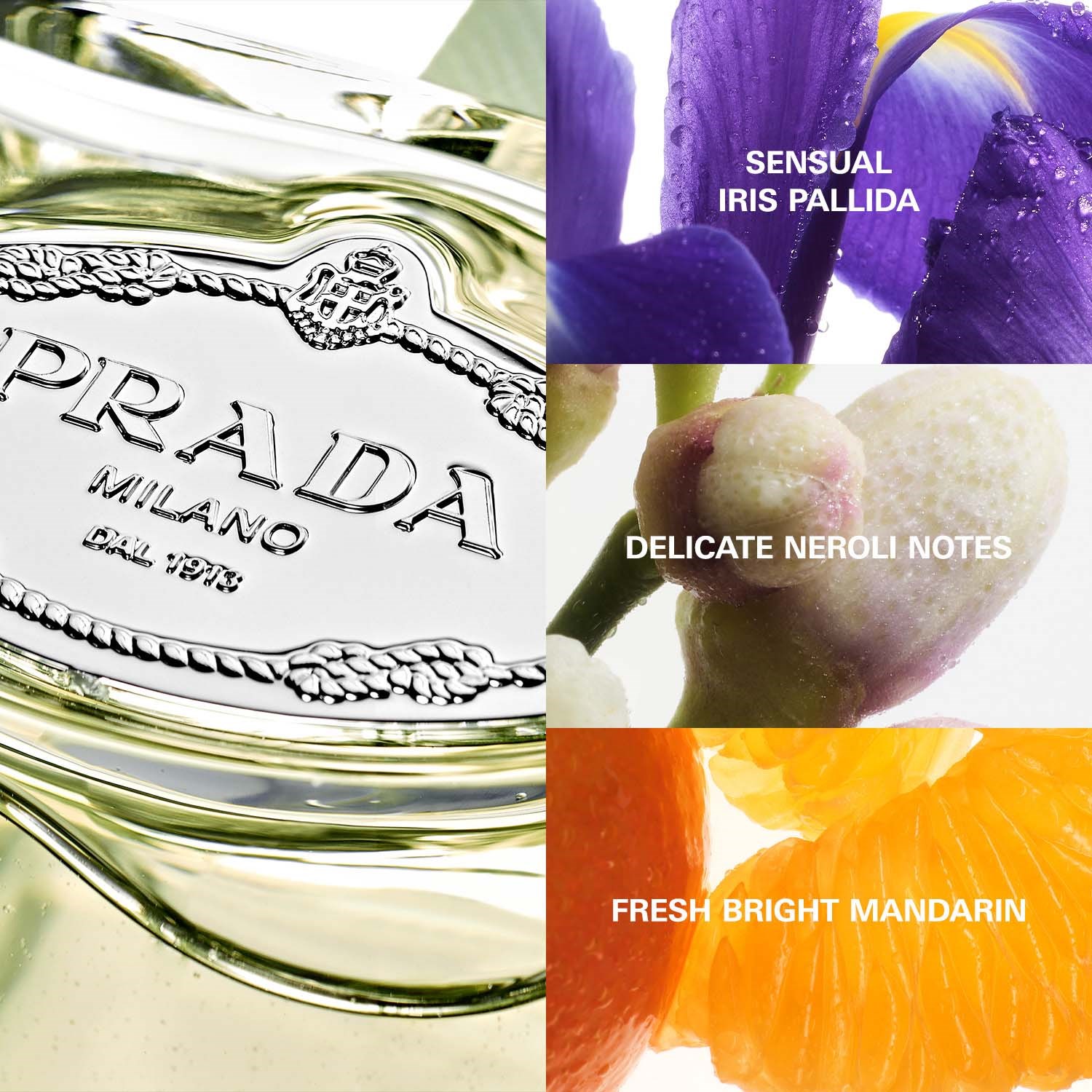 Prada Iris Eau de Parfum 100 ml (obrázok 5)