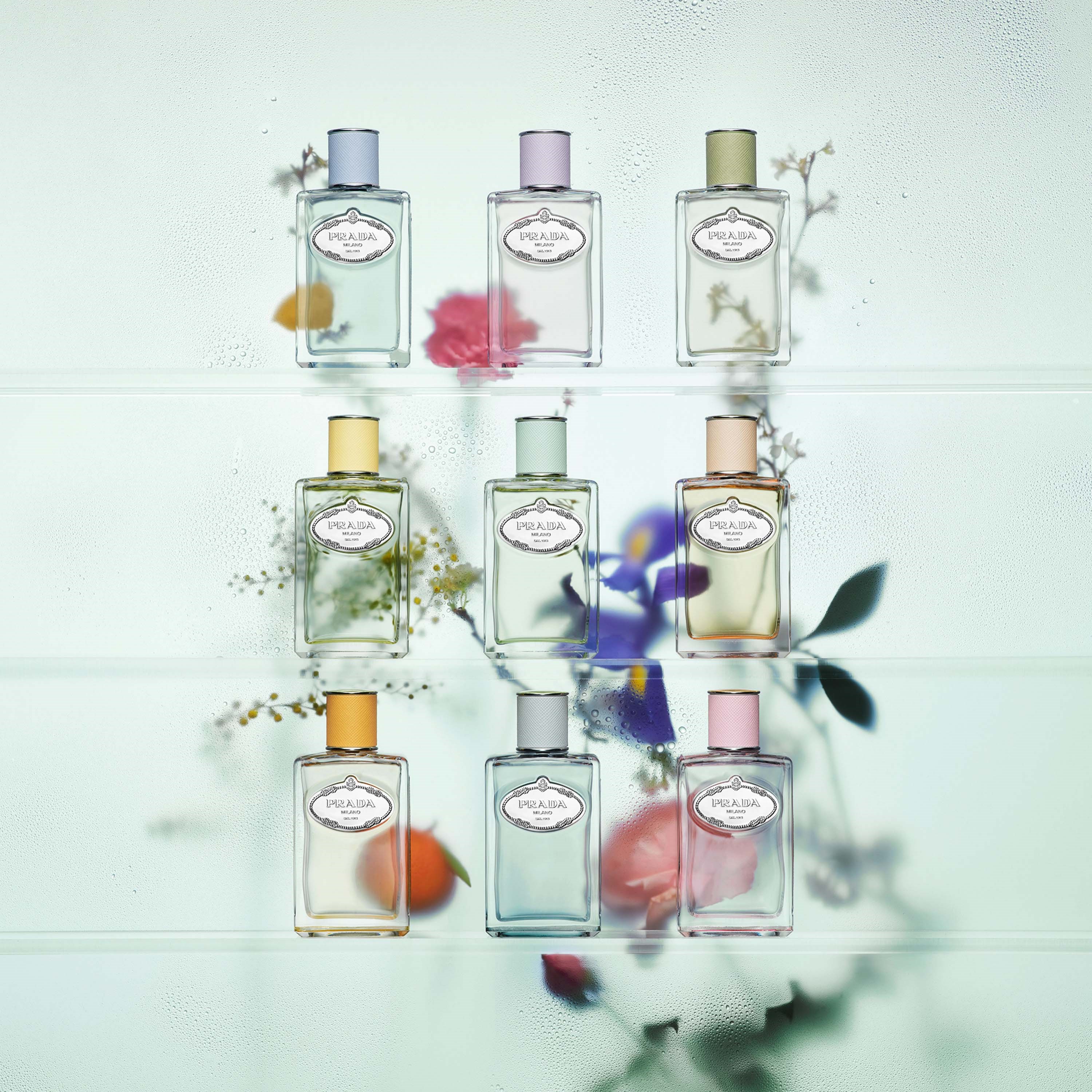 Prada Iris Eau de Parfum 100 ml (obrázok 6)