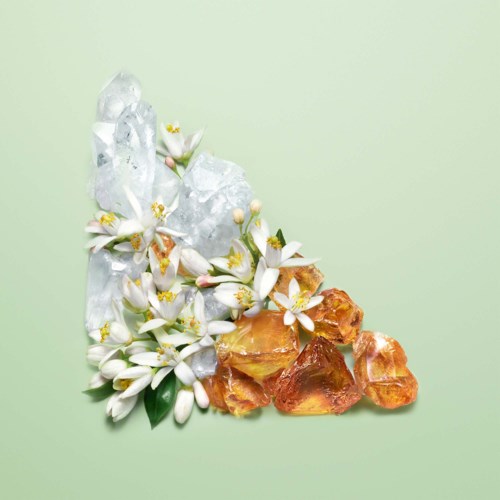 Vita blommor, klar is och orange stenar arrangerade på en ljusgrön bakgrund.