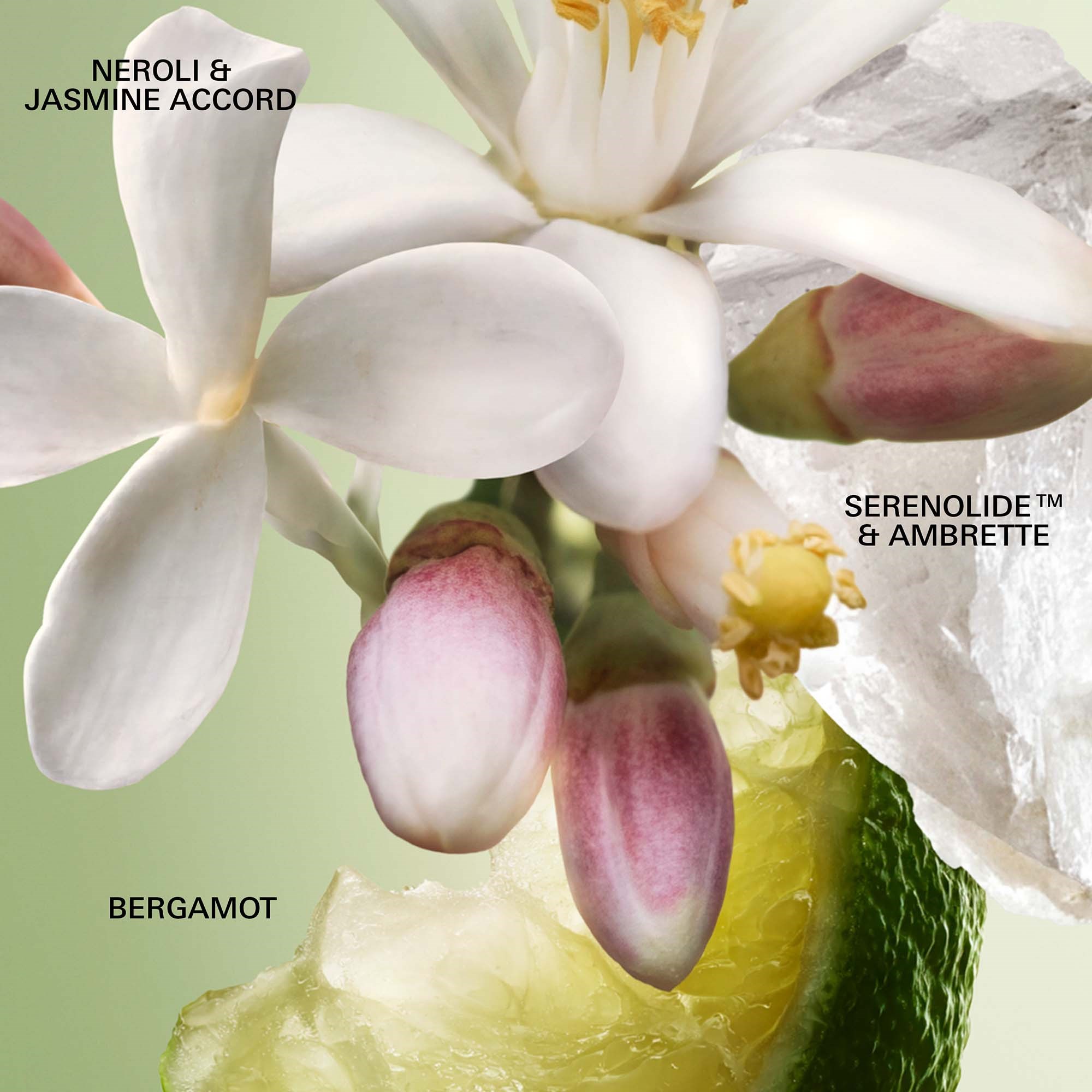 Prada Paradoxe Virtual Flower Eau de Parfum Refill 100 ml (zdjęcie 3)
