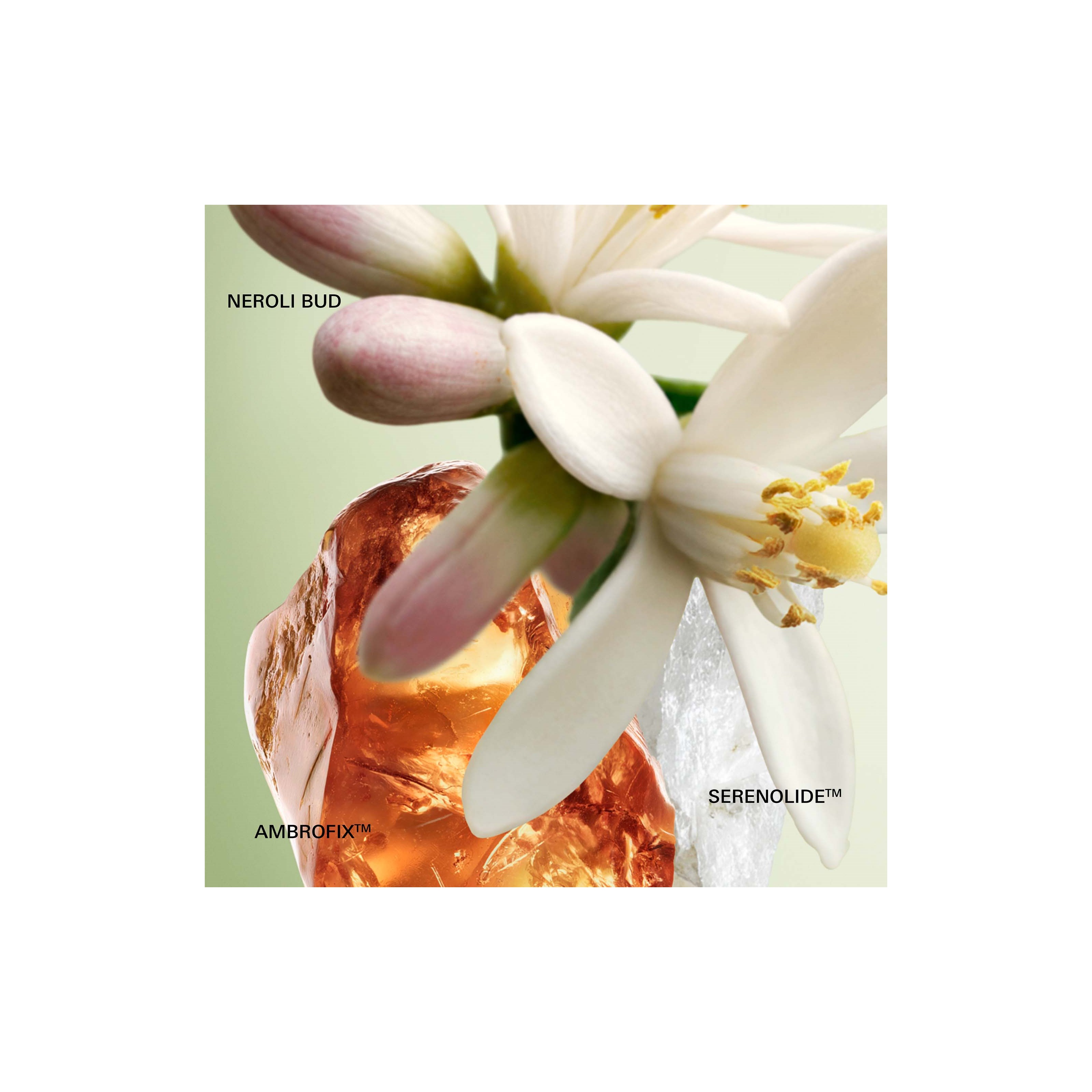 Prada Paradoxe Eau De Parfum 30 ml (zdjęcie 3)