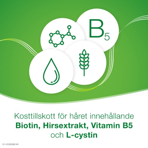 Diagrammet visar ingredienser som Biotin, Vitamin B5, L-cystin, en vattendroppe, korn och molekyl, för hårtillskott.