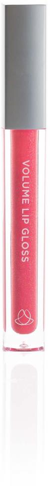 Proclé Stockholm Lip Gloss Primrose 4 ml