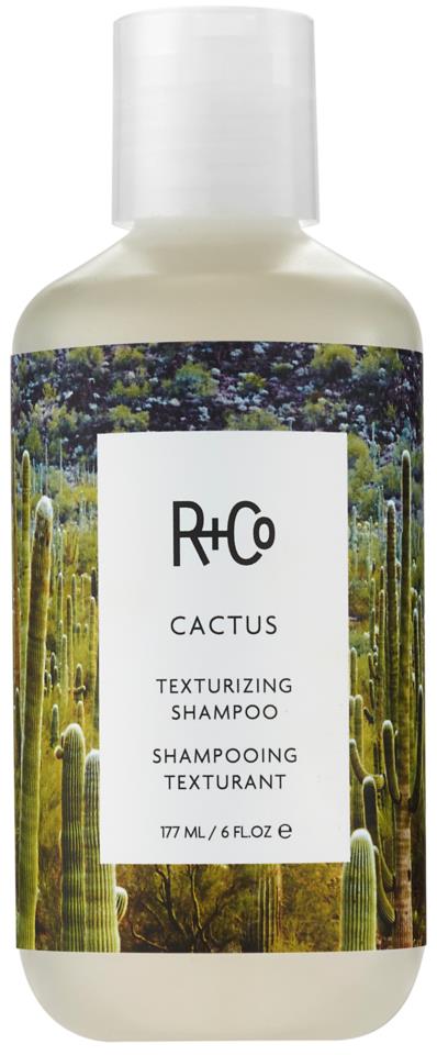 R+Co Cactus Texturizing Shampoo 177ml