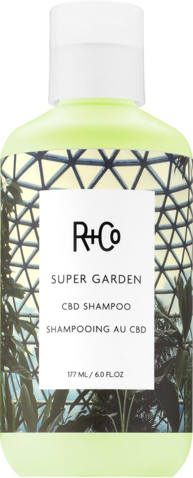 R+Co CBD Shampoo 177 ml