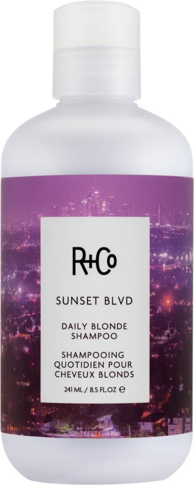 R+Co Sunset BLVD Daily Blonde Shampoo 241 ml