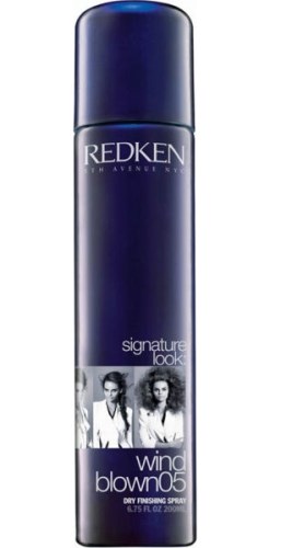 Redken Styling Signature Look Wind Blown 05 250 ml