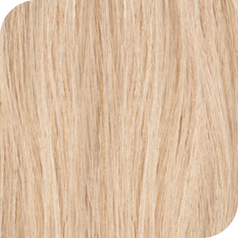 Revlon Color Excel Toning Color 10.02