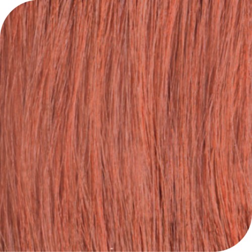 Revlon Young Color Excel Creme Gel Haartönung – Verschiedene Nuancen, 70ml Tube (z.B. F27) Revlon Young Color Excel Creme Gel Haartönung – Verschiedene Nuancen, 70ml Tube (z.B. F27)