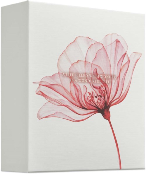 En delikat rosa blomma med genomskinliga kronblad och en tunn stjälk. Text på blomman: "Ett liv fyllt av underverk är ett underbart liv."