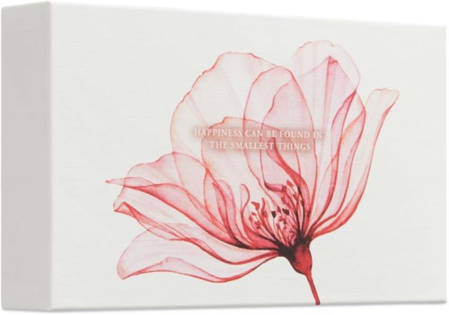 En stor, genomskinlig blomsterillustration på vit bakgrund med citat om lycka och små saker.