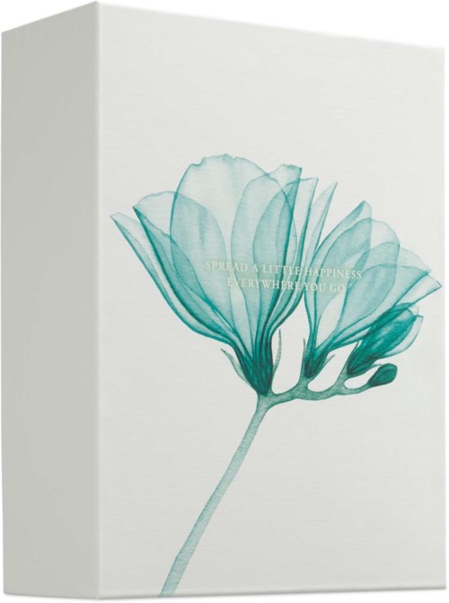 A teal-colored flower illustration on a white box, with a faint motivational quote. Simple and elegant design.