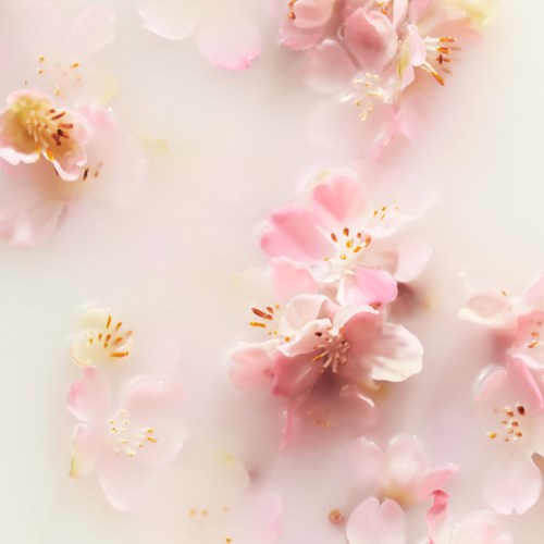 Rituals The Ritual of Sakura Foaming Shower Gel Trio