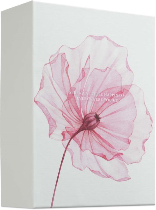 A soft pink watercolor flower with a message about spreading happiness. Simple white background. Elegant and peaceful design.