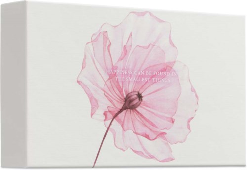 A white box with a pink, translucent flower and a quote about happiness inside.