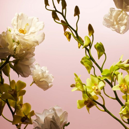 Hvite og gule orkidéer med slanke grønne stilker arrangert i et blomsteroppsett.