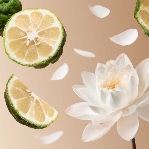 Två halvor och klyftor av citron är nära en vit lotusblomma, med petalfragment som faller runt.