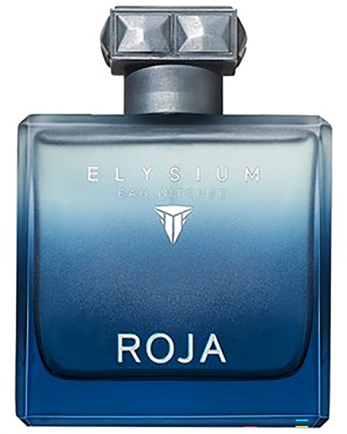 ROJA Elysium Eau Intense Pour Homme Eau de Parfum 100 ml