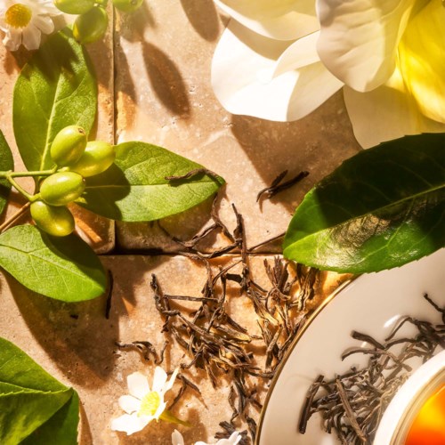 Bildet viser en hvit bolle med te, omgitt av grønne blader, små svarte insekter og hvite blomster.