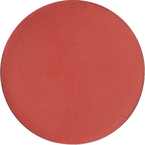 A large, solid red circle with no other details or objects visible.