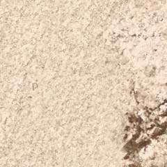 Rose Inc Shimmer Eyeshadow Refill White Gold Shimmer (obrázok 7)