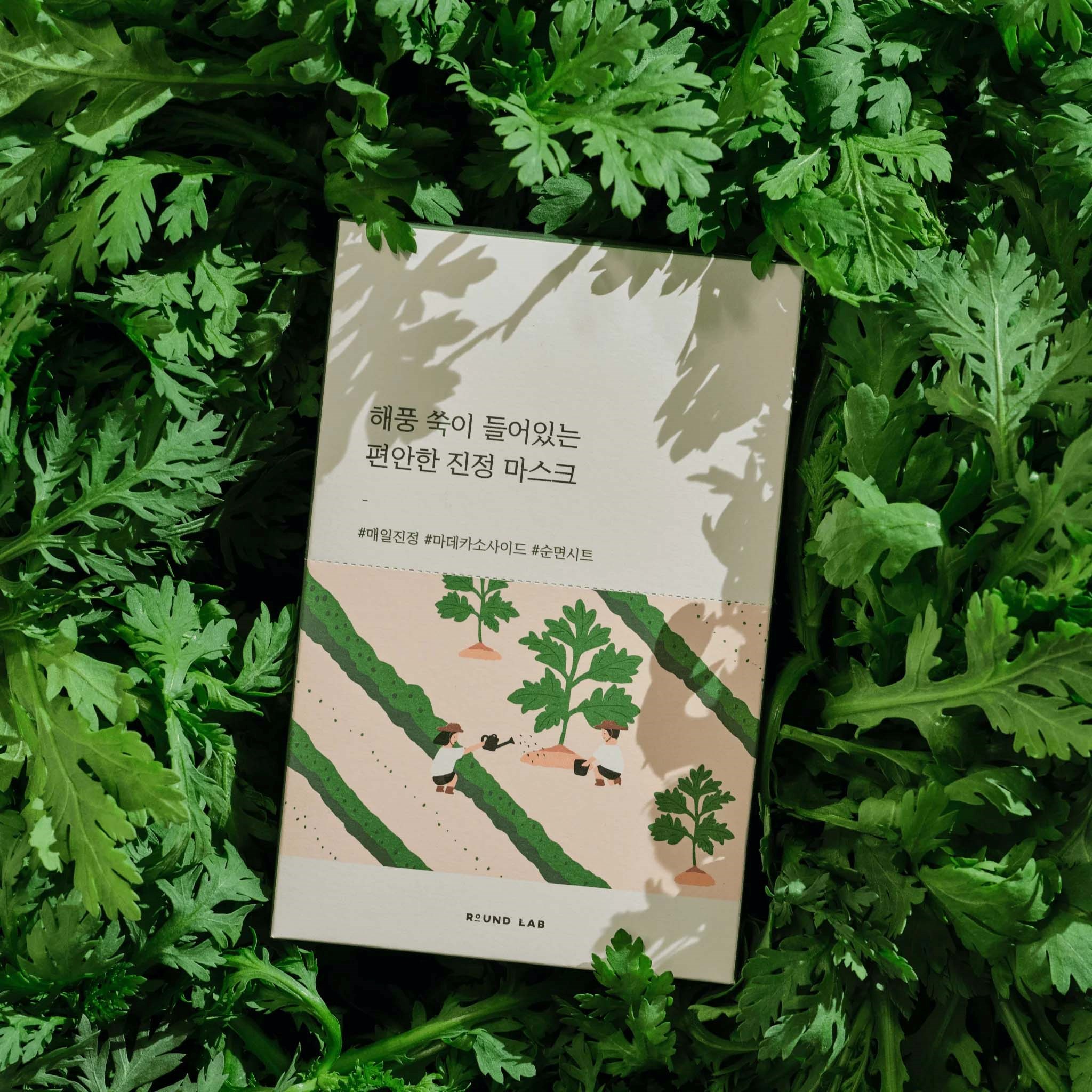 Round Lab Mugwort Mugwort Calming Mask (10 Ea) - maseczka do twarzy w (obrázok 4)