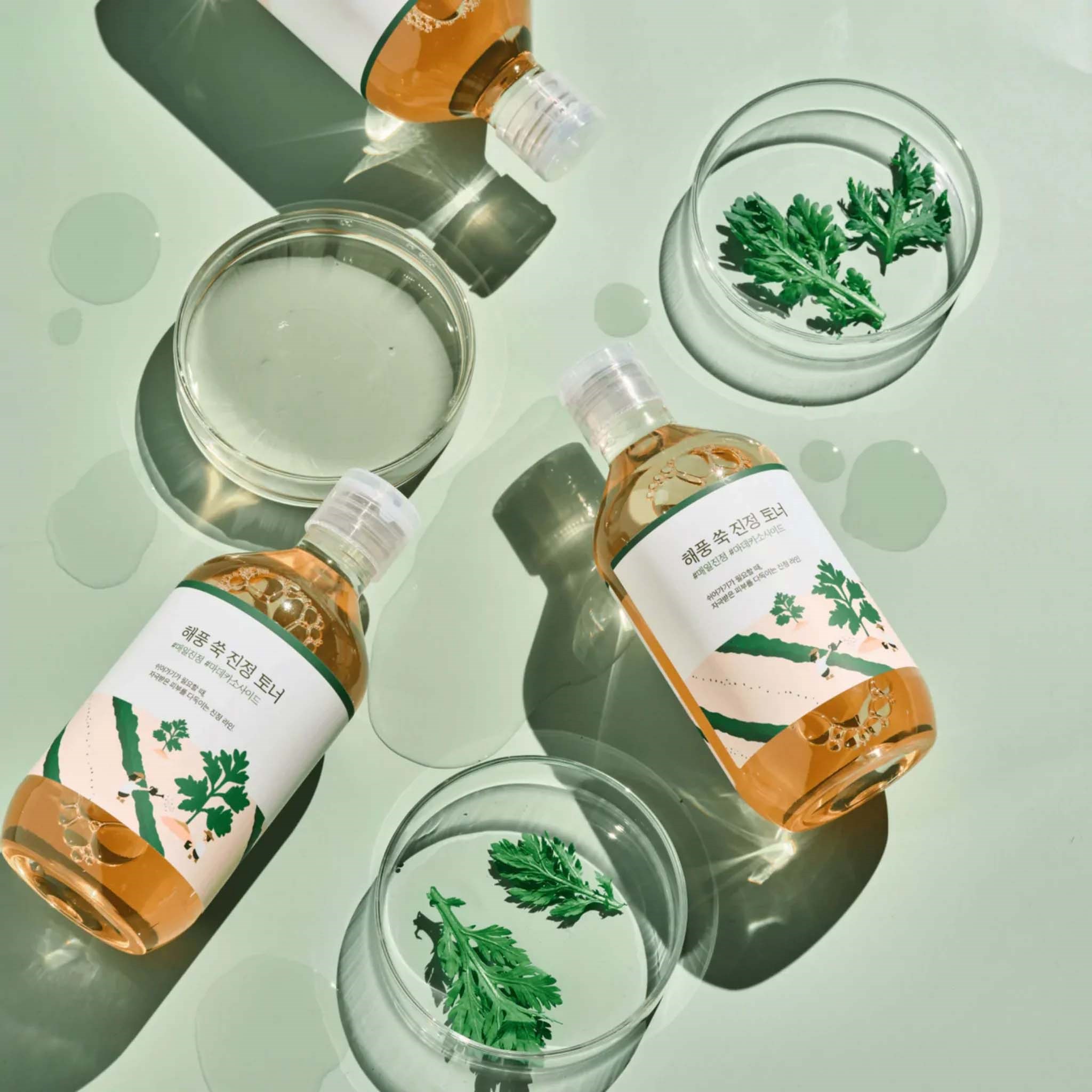 Round Lab Mugwort Mugwort Calming Toner 300 ml - tonik do twarzy 300 (obrázok 4)