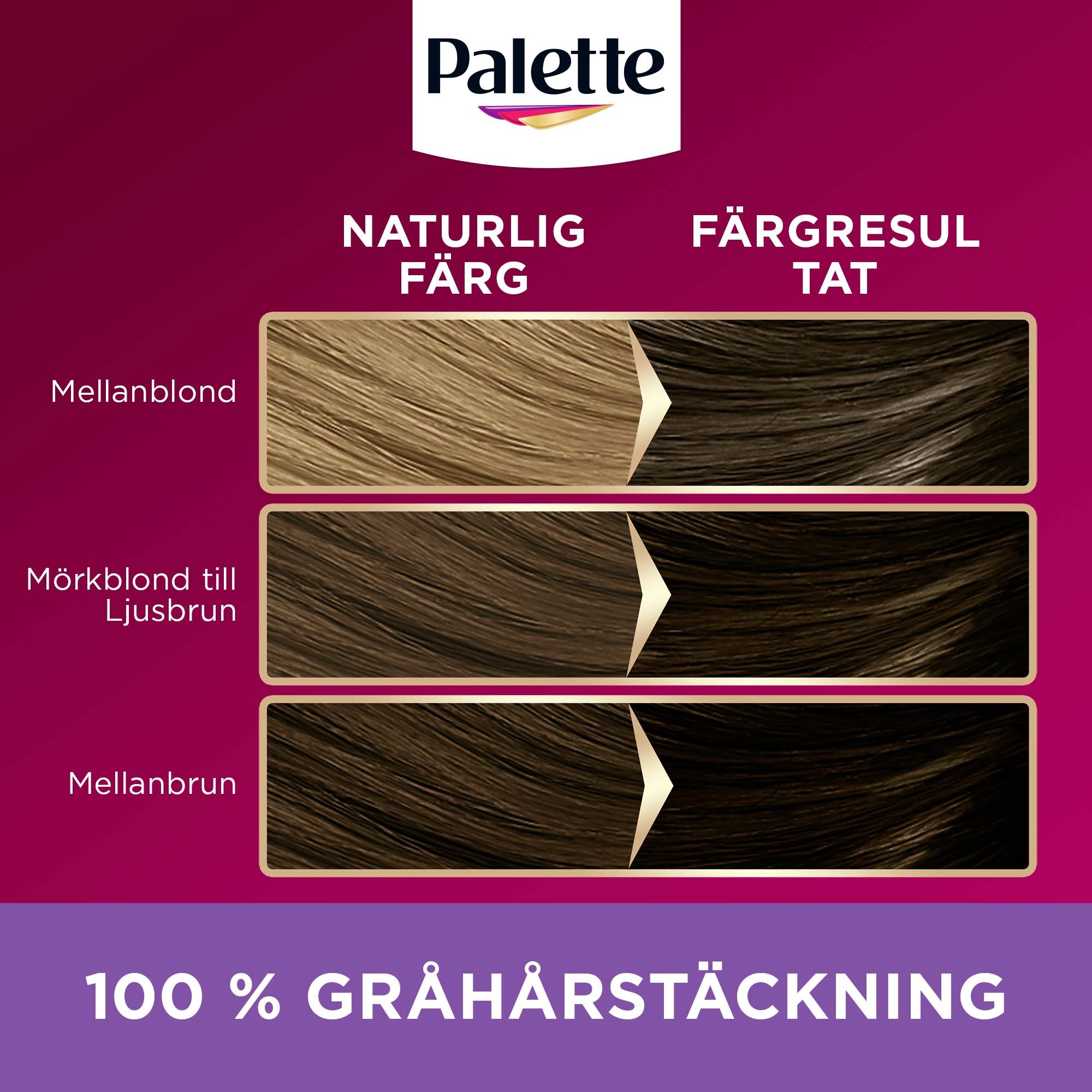 Schwarzkopf Palette Intensive Creme Coloration 5-11 Light Ash Brown (obrázok 6)