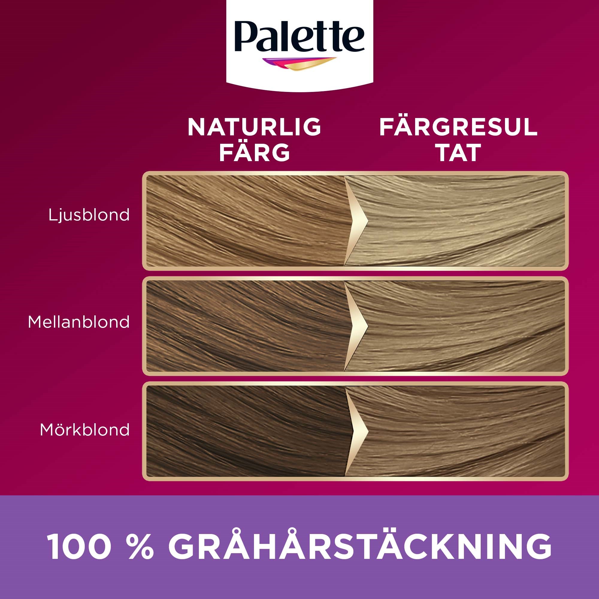 Schwarzkopf Palette Intensive Creme Coloration 9-1 Diamond Blonde (obrázok 5)