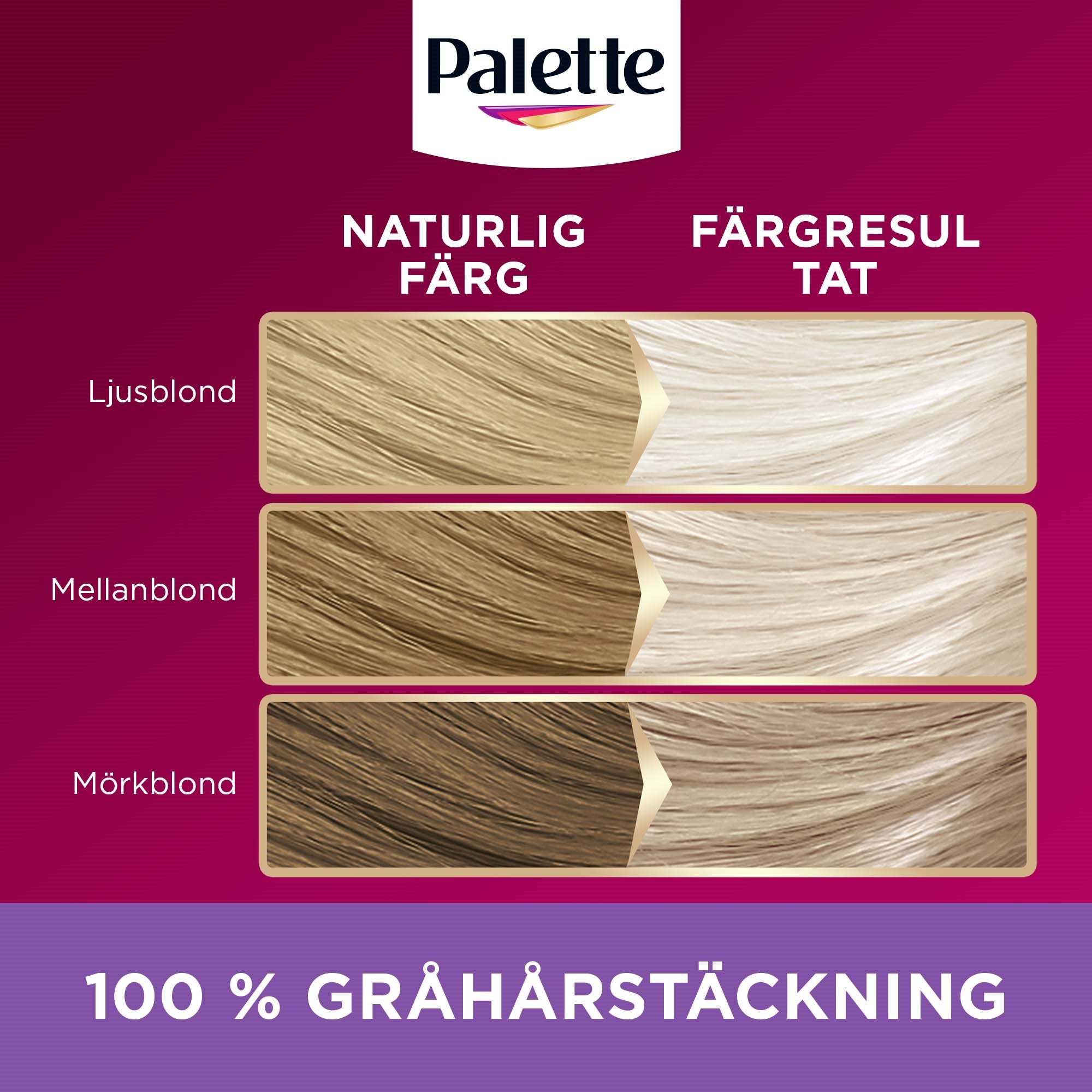 Schwarzkopf Palette Intensive Creme Coloration  11-11 Ultra Titanium B (obrázok 4)