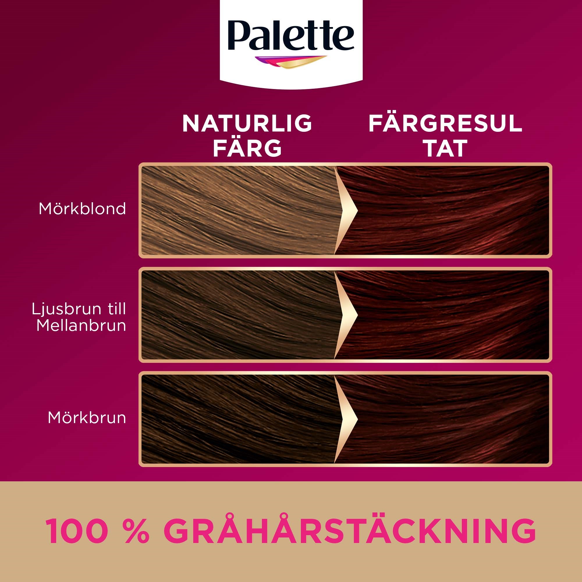 Schwarzkopf Palette Intensive Creme Coloration 4-6 Mocca Brown (obrázok 6)