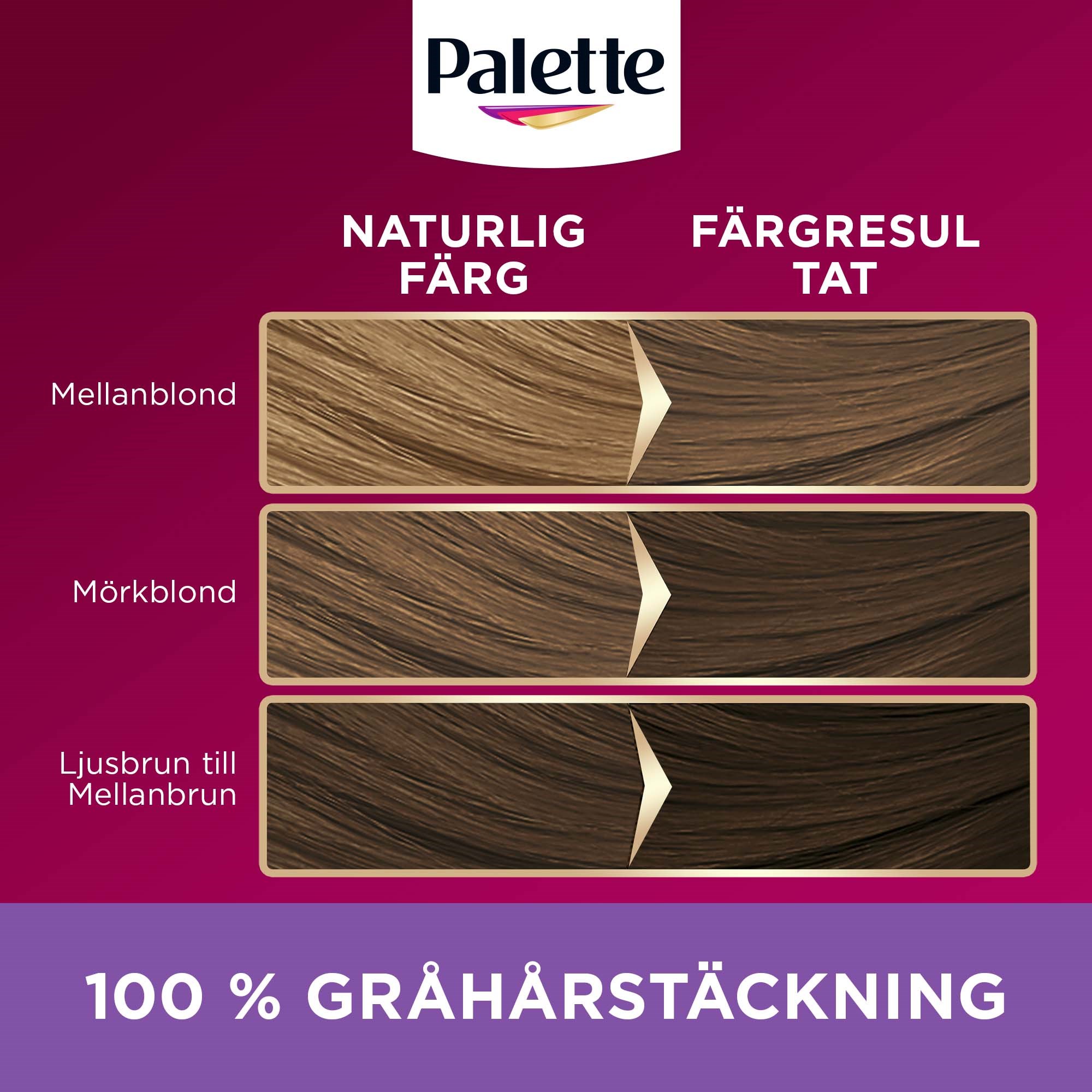 Schwarzkopf Palette Intensive Creme Coloration 7-36 Frozen Light Brown (obrázok 6)