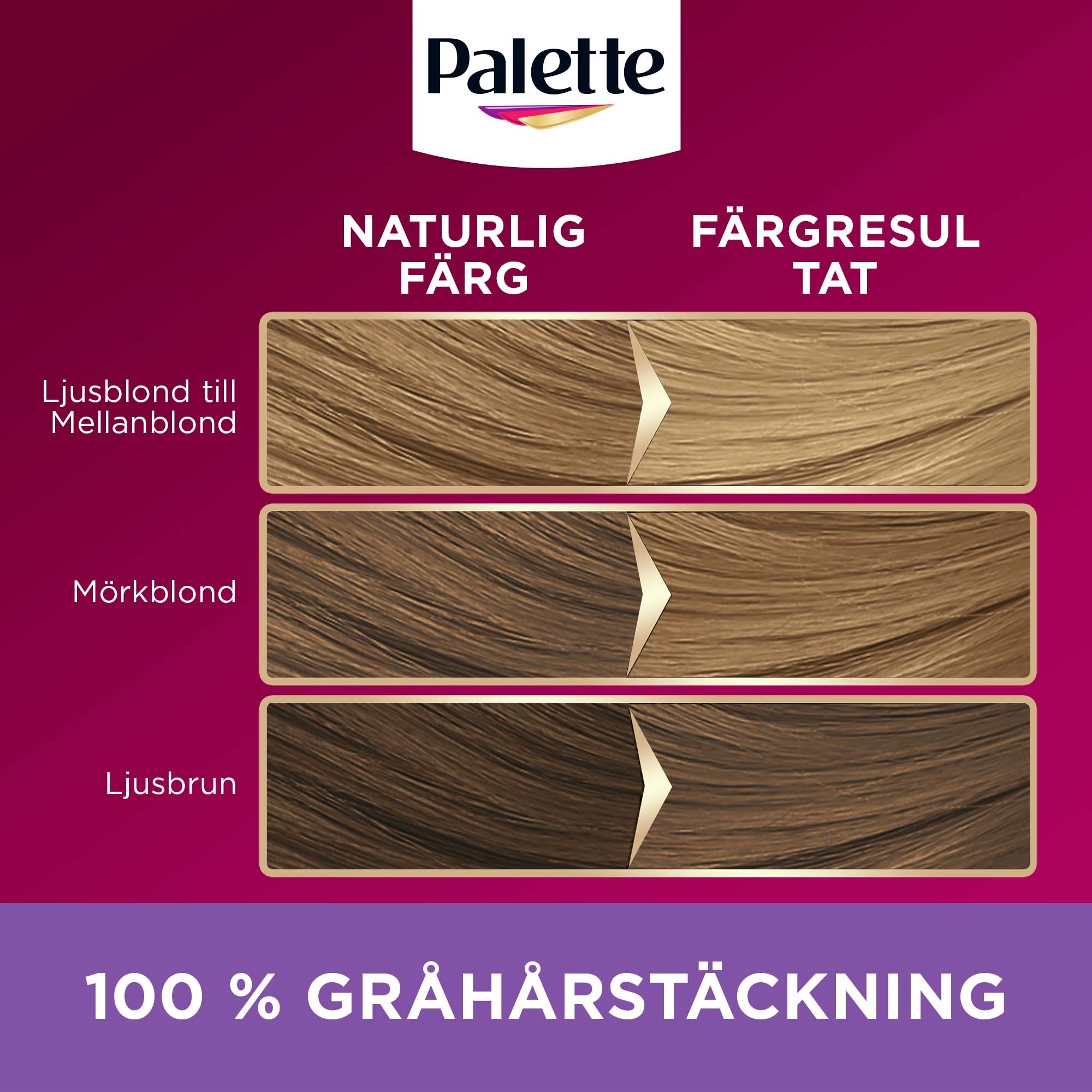 Schwarzkopf Palette Intensive Creme Coloration 8-16 Light Ash Blonde (obrázok 6)