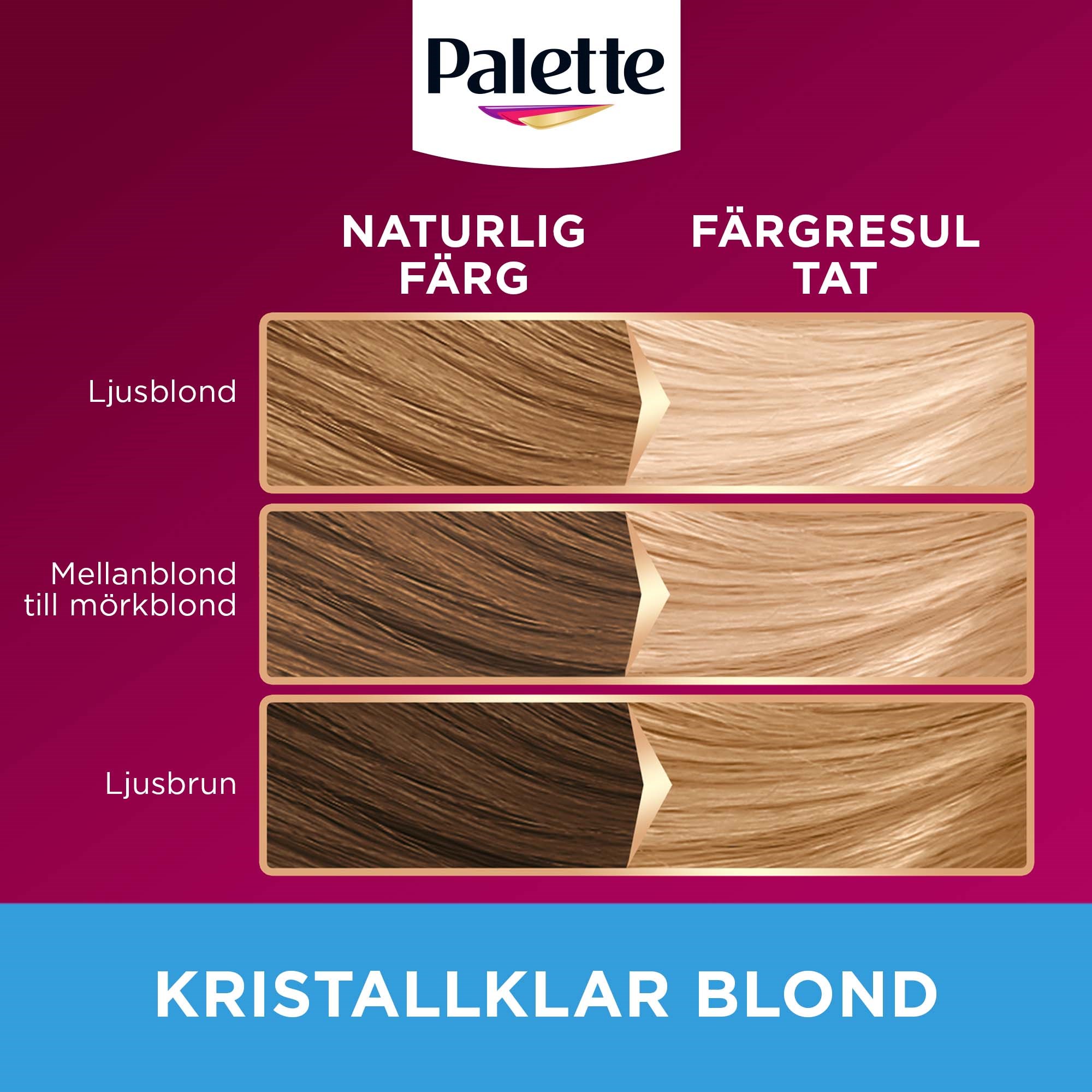 Schwarzkopf Palette Intensive Creme Coloration L6-0 Ultra Blond (obrázok 4)